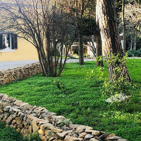 Villa In Salento ليتشي المظهر الخارجي الصورة